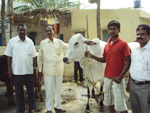 Animal Health Camp
